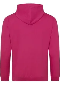 Embroidered College Hoodie Awdis JH001