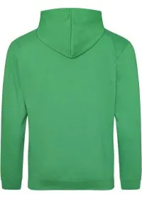 Embroidered College Hoodie Awdis JH001