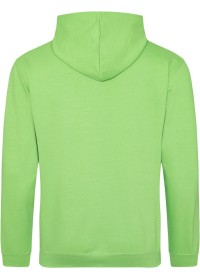 Embroidered College Hoodie Awdis JH001