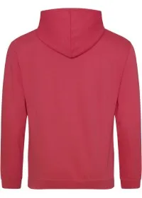 Embroidered College Hoodie Awdis JH001