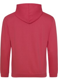 Embroidered College Hoodie Awdis JH001