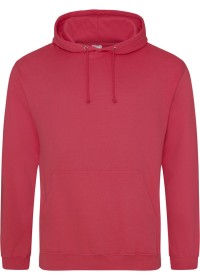 Embroidered College Hoodie Awdis JH001