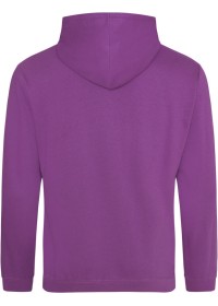 Embroidered College Hoodie Awdis JH001