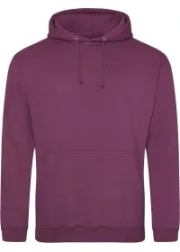 Embroidered College Hoodie Awdis JH001