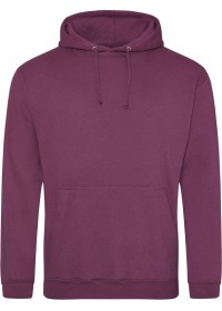 Embroidered College Hoodie Awdis JH001