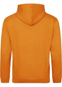 Embroidered College Hoodie Awdis JH001