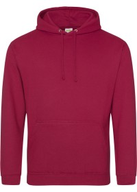 Embroidered College Hoodie Awdis JH001