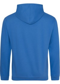 Embroidered College Hoodie Awdis JH001