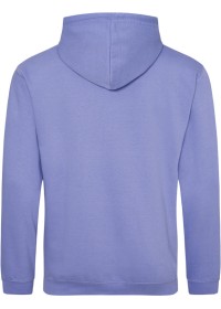 Embroidered College Hoodie Awdis JH001