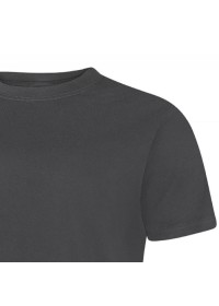 Embroidered Classic T-Shirt Uneek UC301