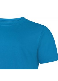 Embroidered Classic T-Shirt Uneek UC301