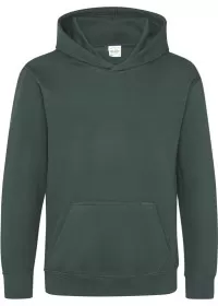 Embroidered Kids Hoodie Awdis JH01J