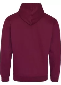 Embroidered Two Tone Hoodie Awdis JH003