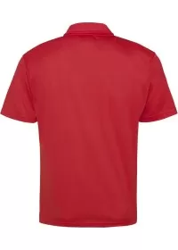 Custom Embroidered Sports Polo Shirt Awdis JC040