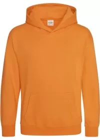 Embroidered Kids Hoodie Awdis JH01J