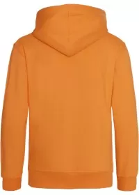 Embroidered Kids Hoodie Awdis JH01J