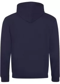 Embroidered Two Tone Hoodie Awdis JH003