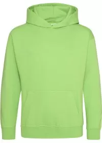 Embroidered Kids Hoodie Awdis JH01J