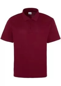 Custom Embroidered Sports Polo Shirt Awdis JC040