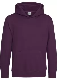 Embroidered Kids Hoodie Awdis JH01J