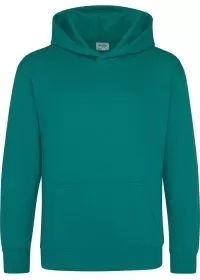 Embroidered Kids Hoodie Awdis JH01J