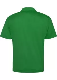 Custom Embroidered Sports Polo Shirt Awdis JC040