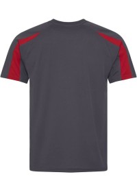 Embroidered Two Tone Sports T-Shirt Awdis JC003