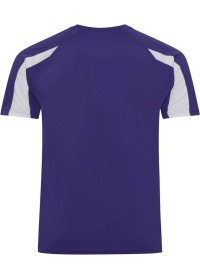 Embroidered Two Tone Sports T-Shirt Awdis JC003