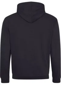 Embroidered Two Tone Hoodie Awdis JH003