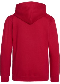 Embroidered Kids Hoodie Awdis JH01J