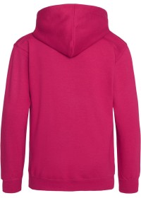 Embroidered Kids Hoodie Awdis JH01J