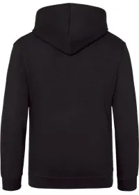 Embroidered Kids Hoodie Awdis JH01J