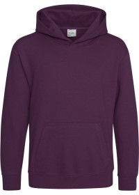 Embroidered Kids Hoodie Awdis JH01J
