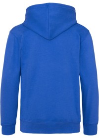 Embroidered Kids Hoodie Awdis JH01J