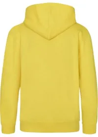 Embroidered Kids Hoodie Awdis JH01J