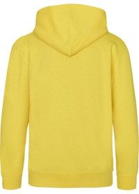 Embroidered Kids Hoodie Awdis JH01J