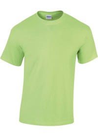 Custom Embroidered Gildan 5000 Heavy T Shirt