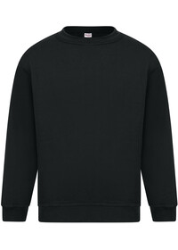 Classic Crew Neck Sweatshirt 300GSM AA24