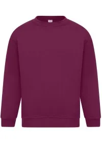 Classic Crew Neck Sweatshirt 300GSM AA24