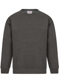 Classic Crew Neck Sweatshirt 300GSM AA24