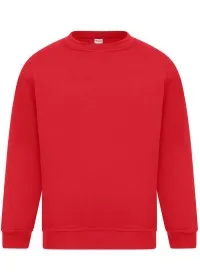 Classic Crew Neck Sweatshirt 300GSM AA24