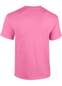 Custom Printed Softstyle T Shirt Gildan GD001