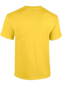 Custom Printed Softstyle T Shirt Gildan GD001