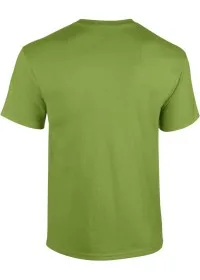 Custom Printed Softstyle T Shirt Gildan GD001