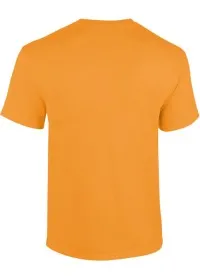 Custom Printed Tee Shirt UC301