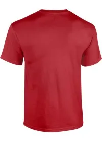 Custom Printed Tee Shirt UC301