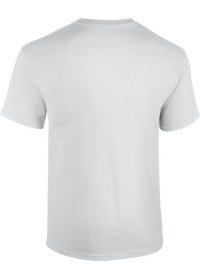 Custom Printed Tee Shirt UC301