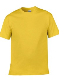 Custom Printed Softstyle T Shirt Gildan GD001