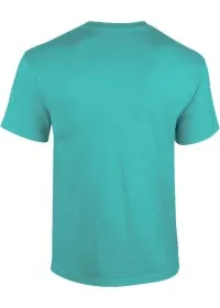 Custom Printed Softstyle T Shirt Gildan GD001