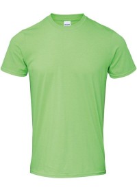 Custom Printed Softstyle T Shirt Gildan GD001